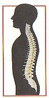 Healthy Spine